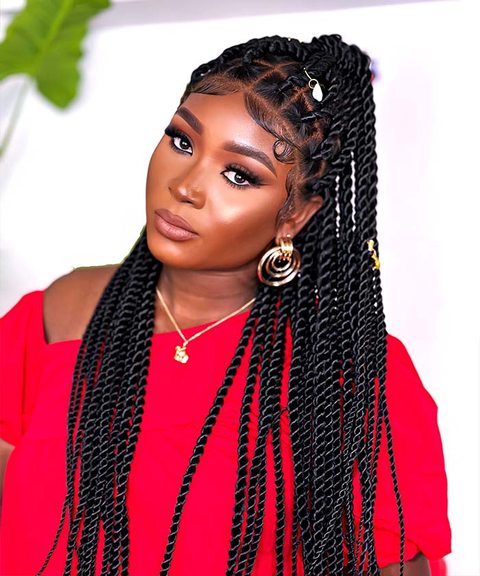 Large Twist Braids - FANCIVIVI Braided Wig 2